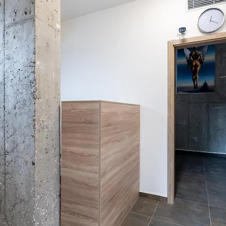 Apartman New #19 Near Center With Free Street Parking *